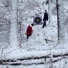 DSCF0131