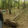 Goraj 3D i Polowanie na Lisa 2D, 2014