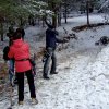 DSCF0123
