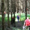 IMG_4241